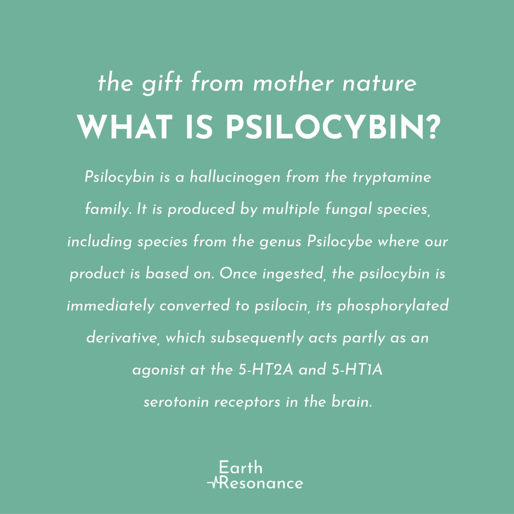 How can Psilocybin help you? - Earth Resonance