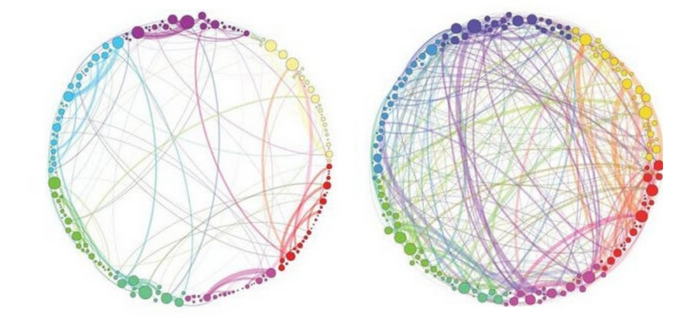 What are the effects of Psilocybin on the brain